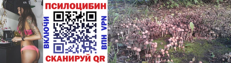 Псилоцибиновые грибы GOLDEN TEACHER дарк нет состав Княгинино кракен ТОР